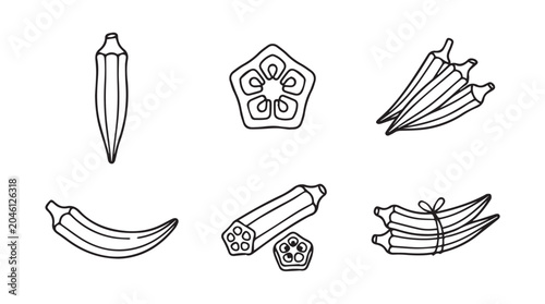 Collection of hand drawn okra vegetable illustration set with cross section vegetable illustration botanical agriculture ingredient culinary nutrition vegetarian farm-fresh foodstuff