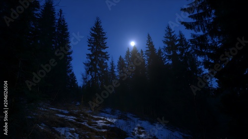 Bright moon over a snowy winter forest at night, deep blue atmospheric landscape background with copy space for seasonal commercial applications
