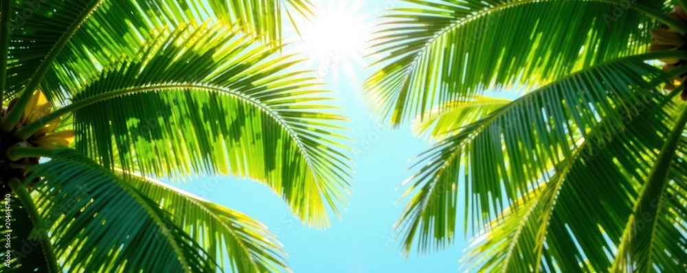 Naklejka premium Sunlight dapples lush green palm fronds, vibrant tropical scene , leaves, plant, tropical background