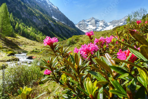 Fotografia Panorama einer wunderschönen idyllischen Berglandschaft in den Alpen von Österre