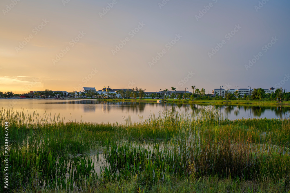 Naklejka premium Amazing Florida nature. Sunset over lake water in southern tropical wetlands