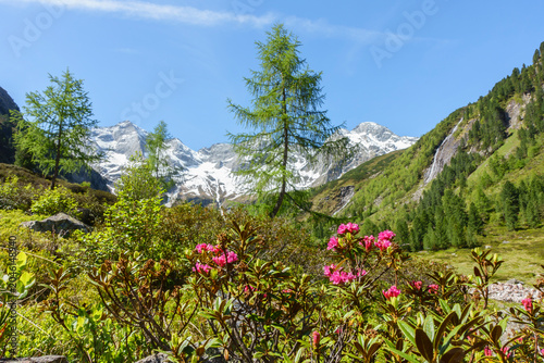 Canvas Print Panorama einer wunderschönen idyllischen Berglandschaft in den Alpen von Österre