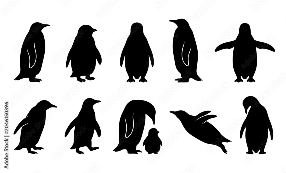Obraz premium Penguin silhouettes set. Vector polar birds standing, swimming, and chick icon.