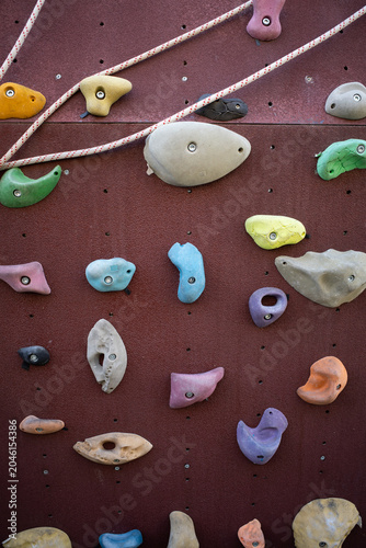 Colorful climbing holds on a burgundy indoor climbing wall, bouldering gym background