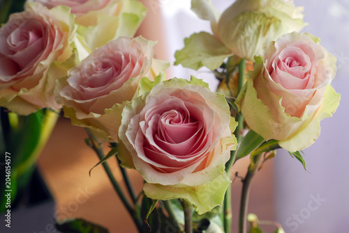 COLORFUL ROSES IN A VASE ON THE TABLE
