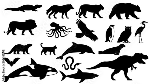 Photography Black silhouettes of various carnivorous animal vector icon set.