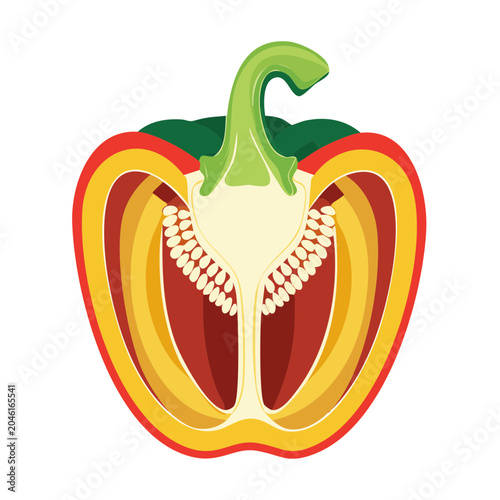 Cross section of a colorful bell pepper with seeds