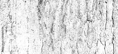 Distressed Tree Bark Texture Overlay Grunge Background