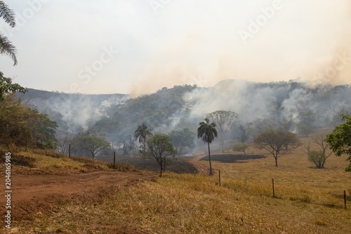Smoke rises from an active vegetation fire in a rural landscape between the Cerrado and Pantanal biomes of Mato Grosso do Sul, Brazil. Dry conditions associated with El Niño increase wildfire risk and