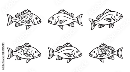 Collection of hand drawn fish illustrations in detailed outline style with wildlife monochrome isolated background illustration collection swimming creature underwater predator ichthyology