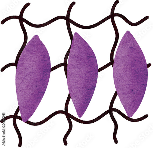 Grilled sweet potato Watercolor Illustration