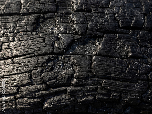 Shou Sugi Ban Charred Wood Texture — Japanese Burned Cedar Grain Pattern