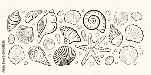 Tablou pe pânză Seashells And Starfish Collection Detailed Sketch Style Illustration
