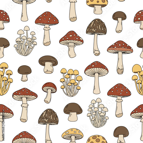 Foto Various types of mushrooms.