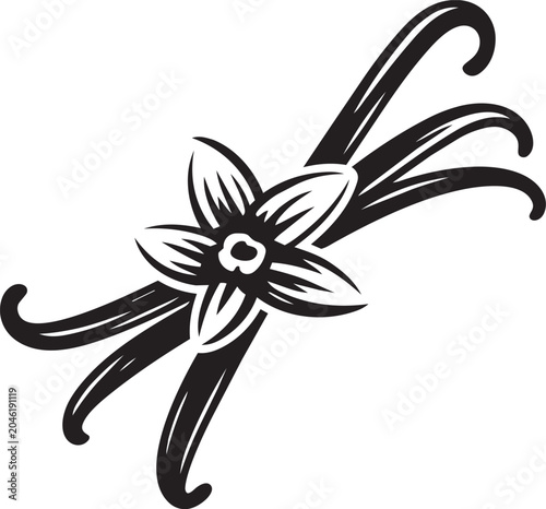 Vanilla pod and flower silhouette isolated on transparent background vector illustration.