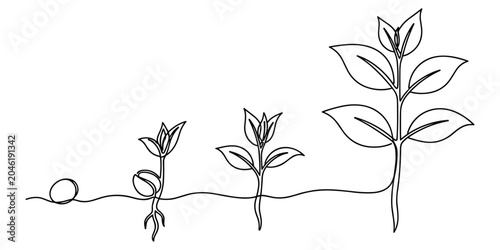 Photos Botanical life cycle illustration of seedling emerging from soil in elegant sing