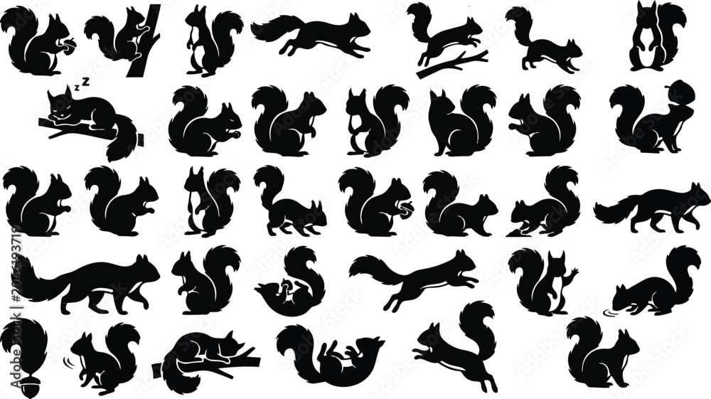 Obraz premium Squirrel Silhouette Pose Set – Forest Animal Black Vector Collection