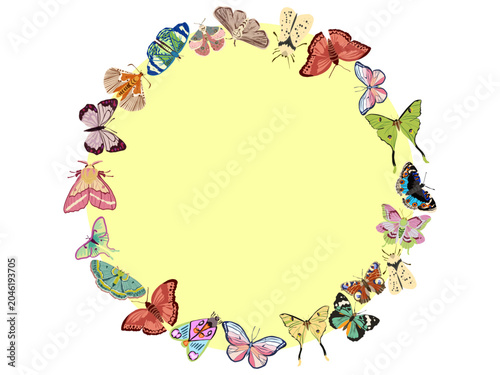 Butterfly Circle Frame with Yellow Center Background Vector Illustration