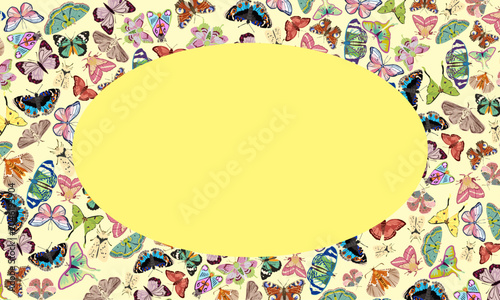 Butterfly Frame Background with Empty Circle Space Vector Illustration
