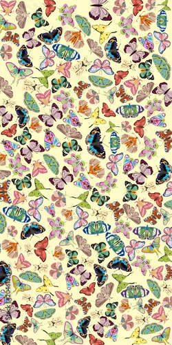 Colorful Butterflies Collection with Butterfly Background Vector Illustration
