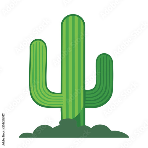 Green Saguaro Cactus Illustration