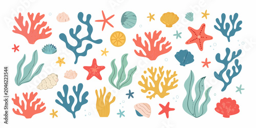 Coral starfish and seashells vector illustration on a white background