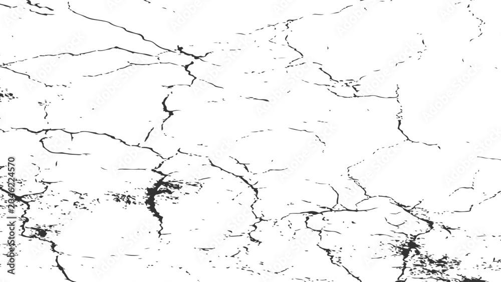 Fototapeta premium abstract cracked surface texture with irregular black fissures on white background forming intricate natural pattern for design use