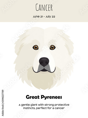 Zodiac sign Cancer and Great Pyrenees Dog breed. Dog breed most compatible with Cancer
