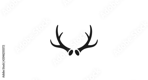 Quadro su tela Deer antlers on white background.
