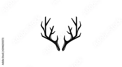 Naklejka Deer antlers on white background.