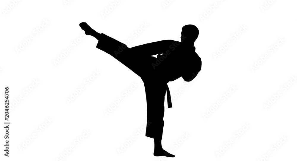 Obraz premium Karate practitioner silhouette against a white background