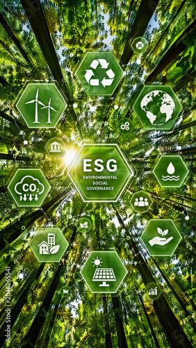 ESG Environmental Social Governance Concept in Forest