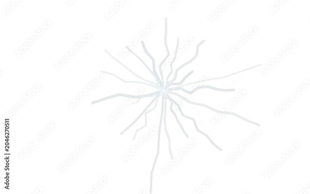 Fototapeta premium Transparent Broken Glass Impact Crack Overlay