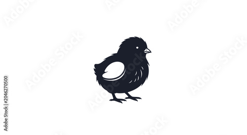 Fotografie Small black chick illustration on white background.