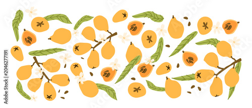 Collection of abstract japanese fruit, loquat set or pattern, contemporary art print. Modern background with hand drawn loquat fruit. Trendy design for wrapping paper, packaging, wall decor.