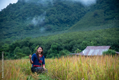 Young Asian Woman Wearing Traditional Clothing Holding A Stalk Of Golden Rice In A Rural Landscape
