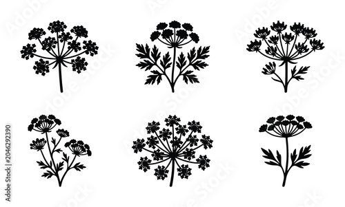 Canvas-taulu Elegant Dill Flower Vector Icons, Botanical Herb Silhouettes, Delicate Umbel Pla
