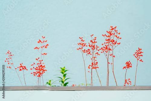 Thin-stemmed red wildflowers and a few green shoots rising from a narrow ledge, set against a smooth pale blue wall. The composition emphasizes vertical lines