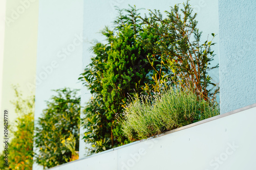 A row of balcony planters filled with mixed green shrubs and ornamental grasses mounted on a modern building facade painted in soft pastel tones. Sunlight