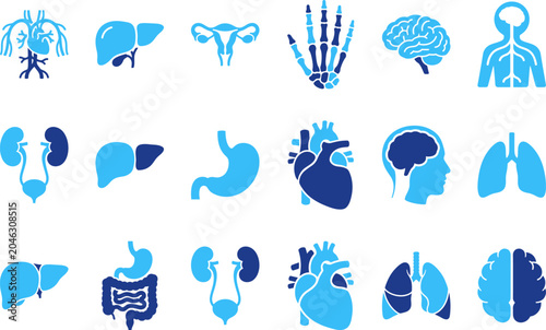 Human internal organs stylized icons set medical brain heart lungs stomach kidney liver systems.