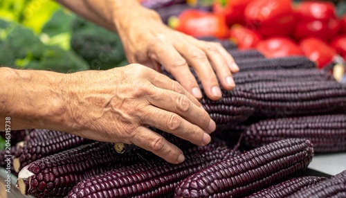 A close-up shot of hands selecting fresh purple corn from a market stall, surrounded by other fresh vegetables