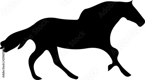 Photography Horse and Donkey Wild Animals Silhouette Collection