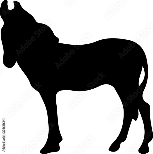 Photography Horse and Donkey Wild Animals Silhouette Collection