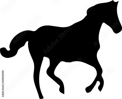 Photography Horse and Donkey Wild Animals Silhouette Collection