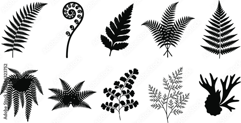 Obraz premium A collection of various tropical fern leaf silhouettes arranged on a clean white background for design usage.