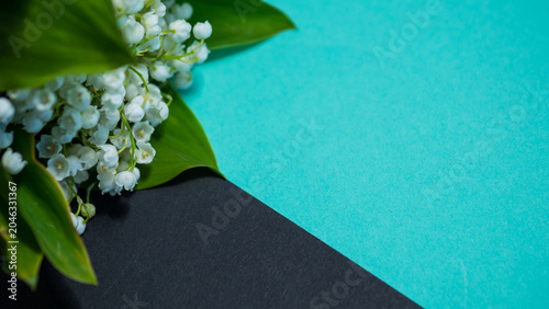 Bild auf Leinwand Convallaria majalis on Diagonal Dual-Tone Background — Lily of the Valley White