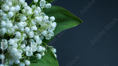 Foto Lily of the valley bouquet close up with white blossoms and green leaves on dark