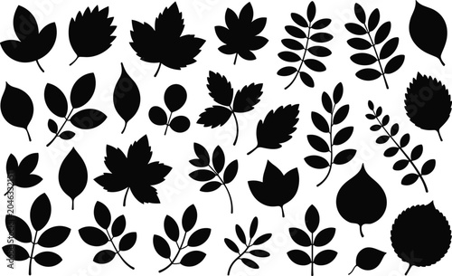 Obraz na plátne Professional set of diverse black leaf silhouettes on white, creating a serene organic scene with high contrast flat lighting