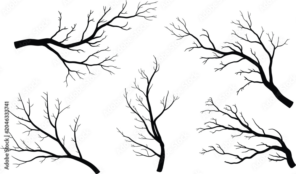 Obraz premium Detailed black silhouettes of bare tree branches reaching out to create an eerie winter mood on a stark white background.