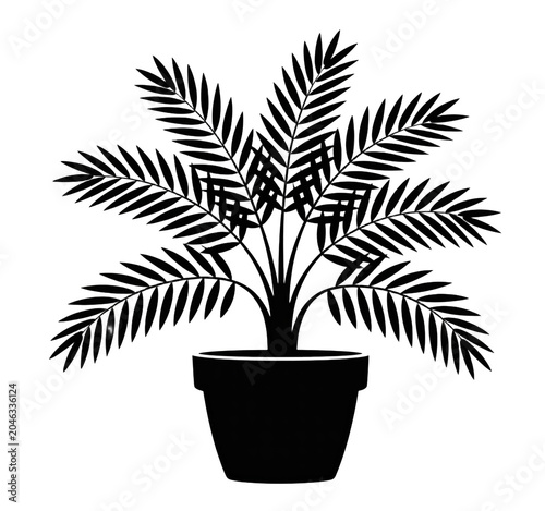 silhouette of a potted plant with fern like leaves isolated on a transparent background.